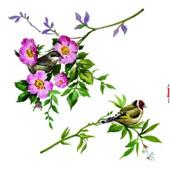Outlet Komar Fenstersticker Spring Fever 31x31 cm