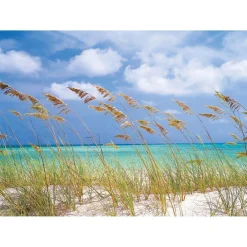 Hot Komar Papier-Fototapete Ocean Breeze 8-teilig 368 x 254 cm