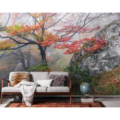 Sale Komar Vlies Fototapete Euphoria 300x200 cm