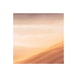 Discount Komar Vlies Fototapete Gently Touched 400x250 cm