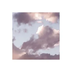 Discount Komar Vlies Fototapete Gently Touched 400x250 cm
