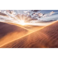 Discount Komar Vlies Fototapete Gently Touched 400x250 cm