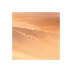 Discount Komar Vlies Fototapete Gently Touched 400x250 cm