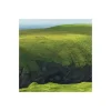 Best Komar Vlies Fototapete Green Ireland 450x280 cm