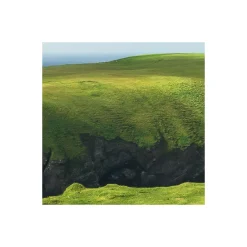 Best Komar Vlies Fototapete Green Ireland 450x280 cm