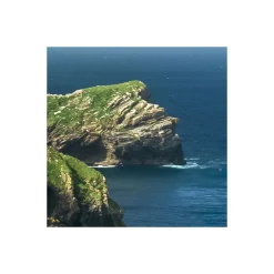 Best Komar Vlies Fototapete Green Ireland 450x280 cm