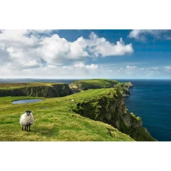 Best Komar Vlies Fototapete Green Ireland 450x280 cm