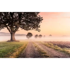 Discount Komar Vlies Fototapete Misty Morning 400x250 cm