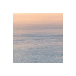 Sale Komar Vlies Fototapete Monkey Island 350x200 cm