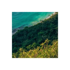 Sale Komar Vlies Fototapete Monkey Island 350x200 cm