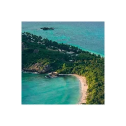 Sale Komar Vlies Fototapete Monkey Island 350x200 cm