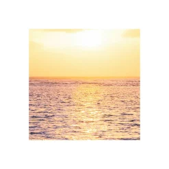 Discount Komar Vlies Fototapete Palmtrees on Beach 200x250 cm