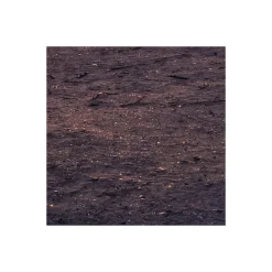 Discount Komar Vlies Fototapete Palmtrees on Beach 200x250 cm