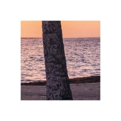 Discount Komar Vlies Fototapete Palmtrees on Beach 200x250 cm