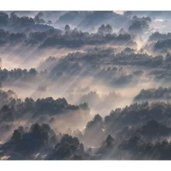 Discount Komar Vlies Fototapete Rays 300x250 cm