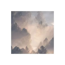 Discount Komar Vlies Fototapete Rays 300x250 cm