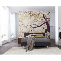 Discount Komar Vlies Fototapete Sunshine 250x250 cm