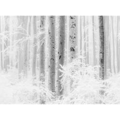Outlet Komar Vlies Fototapete Winter Wood 400x280 cm
