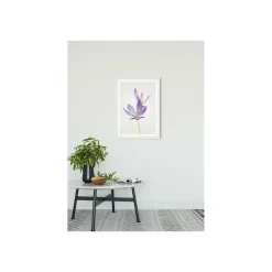 Online Komar Wandbild Autumn Crocus 40x50 cm