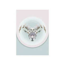Outlet Komar Wandbild Capricorn 50x70 cm