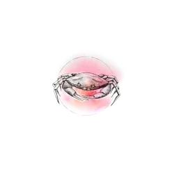Discount Komar Wandbild Crab Watercolor 50x70 cm