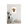 Best Komar Wandbild Cute Animal Squirrel 50x70 cm