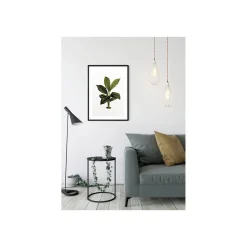 Online Komar Wandbild Elastica Leaf 50x70 cm