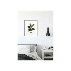 Online Komar Wandbild Elastica Leaf 50x70 cm