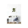 Discount Komar Wandbild Elastica Tree 50x70 cm