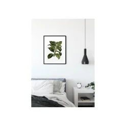 Discount Komar Wandbild Elastica Tree 50x70 cm