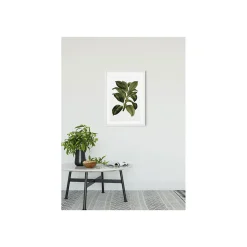 Discount Komar Wandbild Elastica Tree 50x70 cm