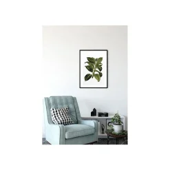 Discount Komar Wandbild Elastica Tree 50x70 cm