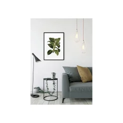 Discount Komar Wandbild Elastica Tree 50x70 cm