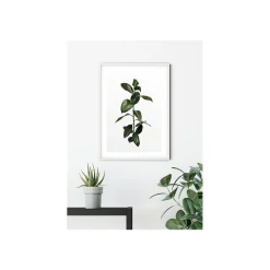 Online Komar Wandbild Ficus Branch 40x50 cm