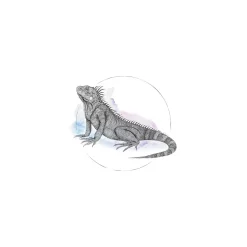 Best Komar Wandbild Iguana Watercolor 50x70 cm
