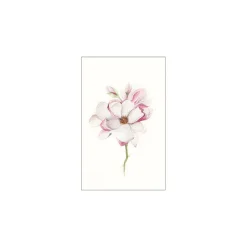Online Komar Wandbild Magnolia Blossom 50x70 cm