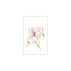 Discount Komar Wandbild Magnolia Shine 50x70 cm
