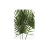 Discount Komar Wandbild Palmtree Leaves 40x50 cm