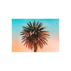Best Komar Wandbild Palm Tree 70x50 cm