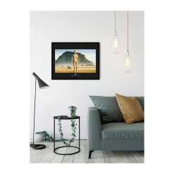 Discount Komar Wandbild Star Wars Classic Droids 50x40 cm