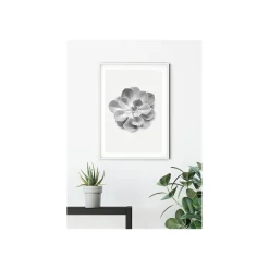 Best Komar Wandbild Succulent Aeonium 50x70 cm