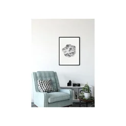 Best Komar Wandbild Succulent Aeonium 50x70 cm