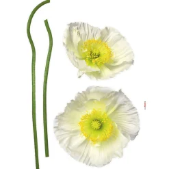 Online Komar Wandtattoo Pavot Blanc 50x70 cm