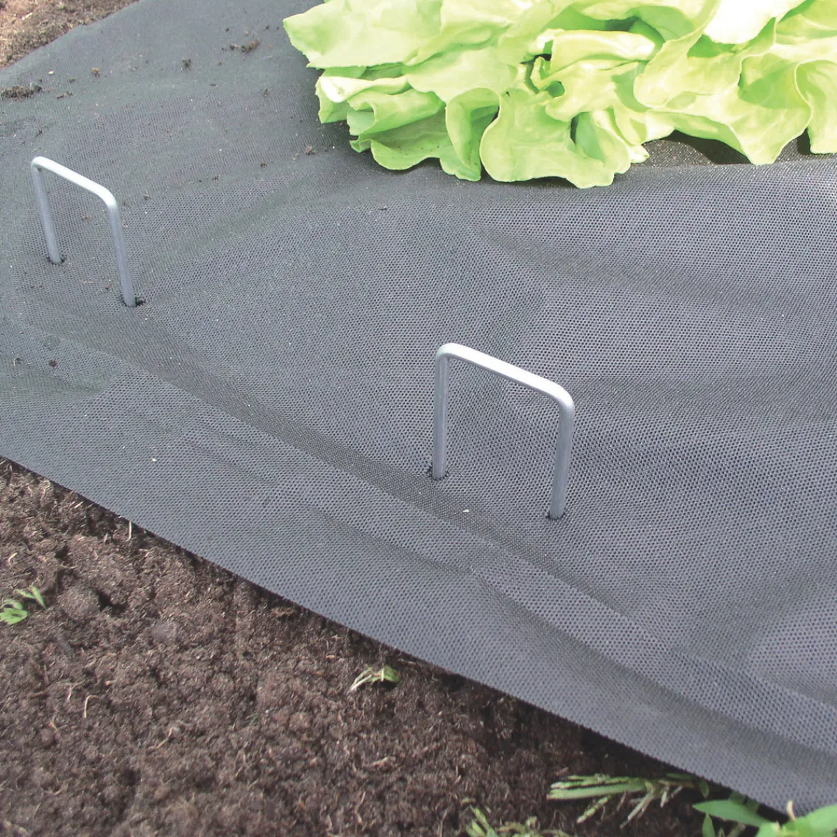 Outlet Windhager Metall-Heringe verzinkt 10 Stk.