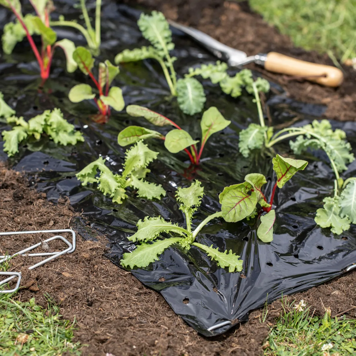 Discount Windhager Mulch-Folie 10x1,2m