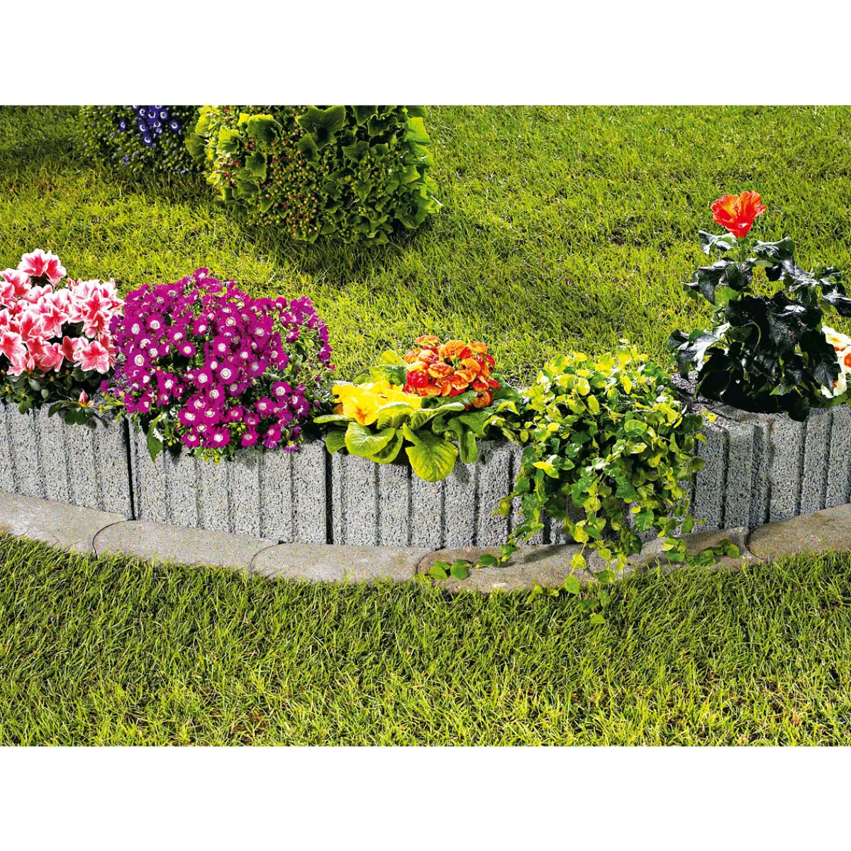 Best Lusit MultiFlor Mini 28,4x20x20 cm