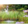Hot Oase Aquarius Fountain-Set Classic 2000E