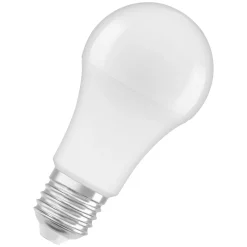 Outlet Osram LED-Leuchtmittel E27 100W matt