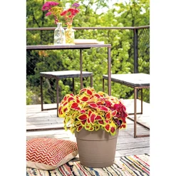 Online Pflanztopf Vaso Save R 29 cm camel