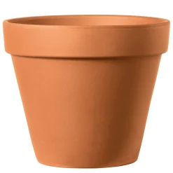 New Pflanztopf Vaso Standard 15 cm